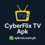 CyberFlix